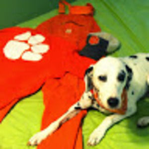 Meet your Posher, Bryan